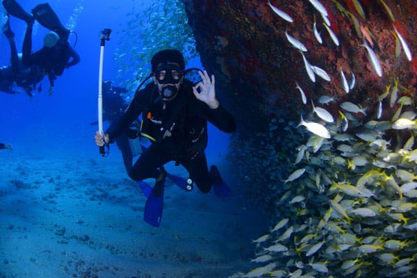 Curso PADI Open Water Alicante. puraventuraspain.com