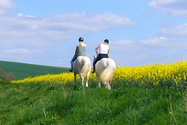 Promenade a cheval 2