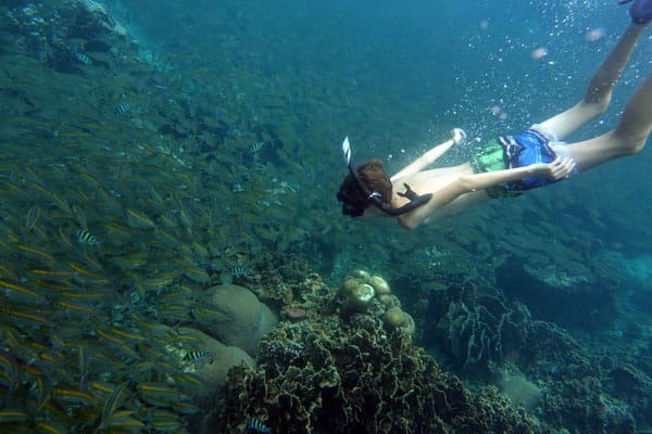 Snorkel Alicante. puraventuraspain.com