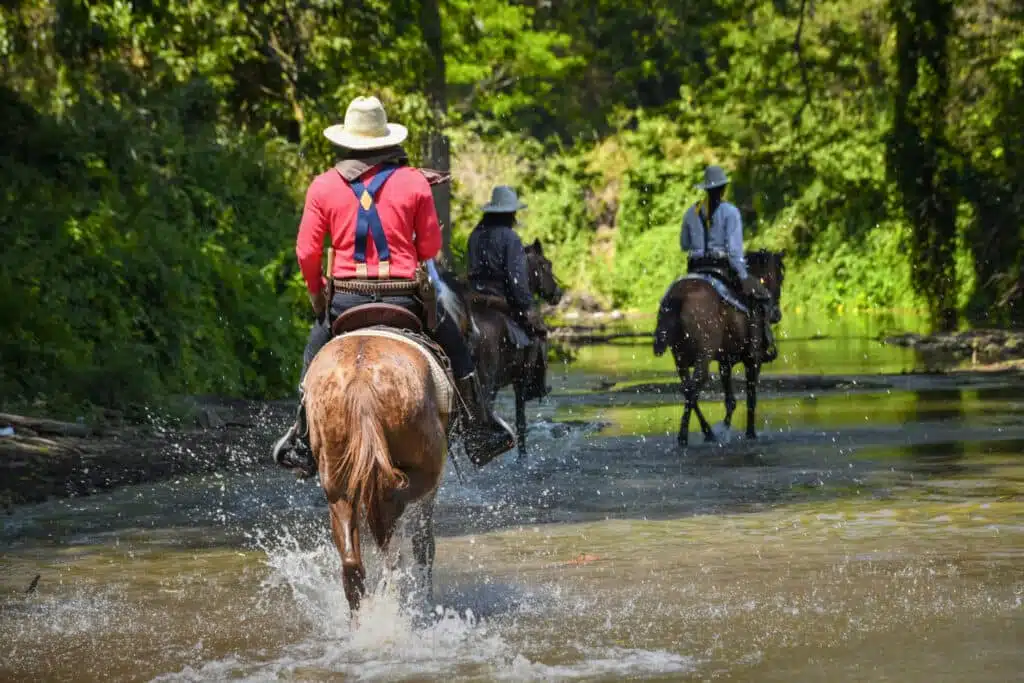 paseo a caballo