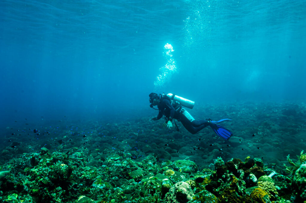 buceo profesional en alicante